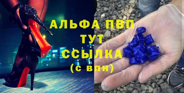 прущие грибы Пролетарск