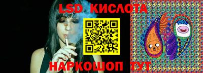 spice Абакан