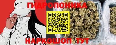 spice Абакан