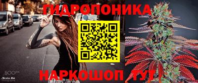 гидропоника Азнакаево