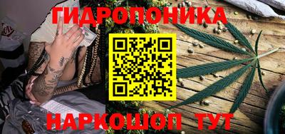 гидропоника Азнакаево