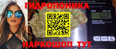 spice Абакан