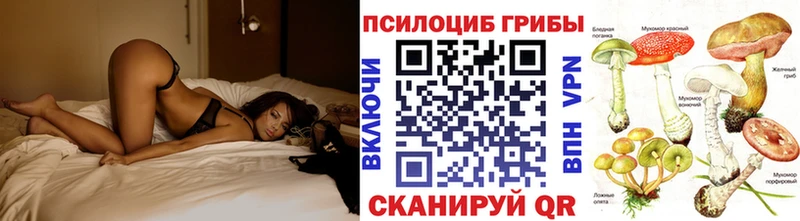 Псилоцибиновые грибы GOLDEN TEACHER  Ангарск 