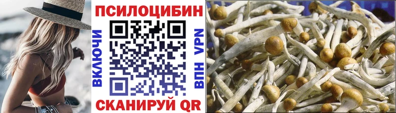 Галлюциногенные грибы Psilocybe Ангарск