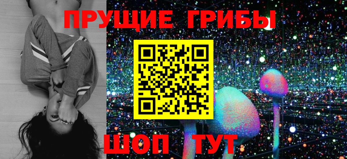 Псилоцибиновые грибы GOLDEN TEACHER Ангарск